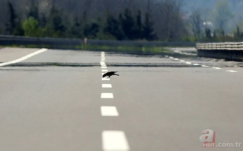 Antalya'da sokağa çıkma yasağı var mı? Hafta sonu Aydın, Erzurum, Hatay, Malatya, Mersin, Muğla'da yasak olacak mı? 11