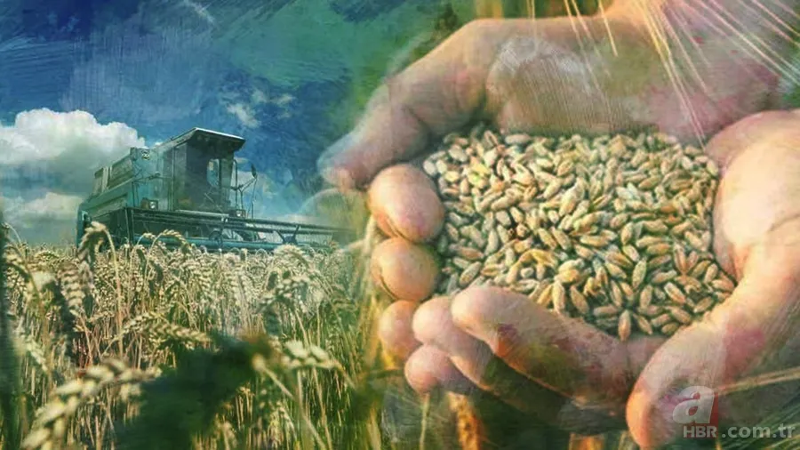 Savaşın yeni cephesi sofra: Gübre fiyatları tarımını sarsıyor, küresel gıda krizi kapıda 1
