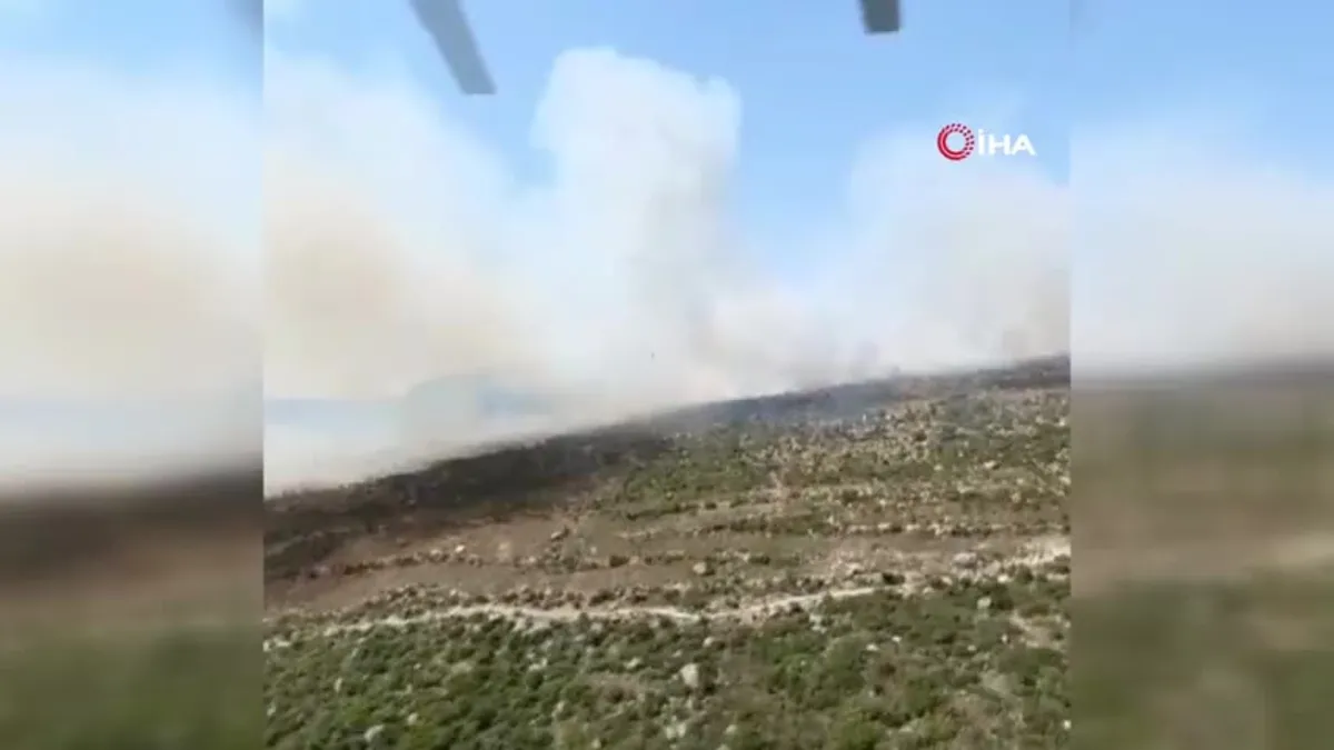 İzmir Menderes'te orman yangını