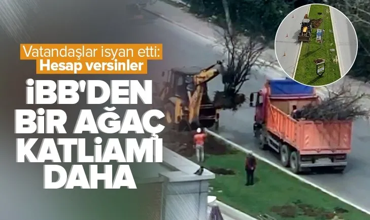 Son dakika: CHP’li İBB’den bir katliam daha: Ataşehir’de ağaçlar iş makineleriyle güpegündüz söküldü! Vatandaşlar isyan etti