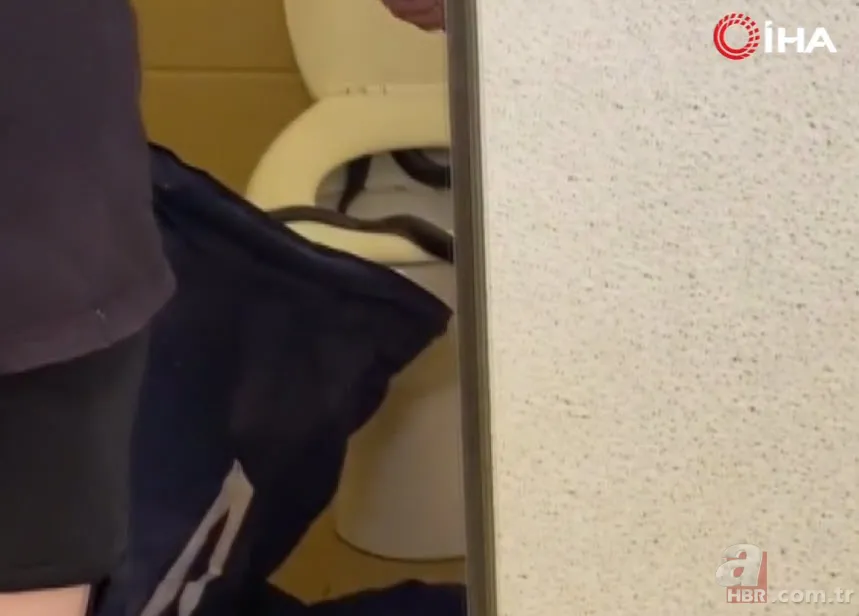 Havalar ısınınca ortaya çıktı! 1 metre uzunluğunda zehirli kocabaş yılanı böyle görüntülendi 7