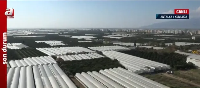 Türkiye Yüzyılı’nda tarım, ormancılık ve hayvancılık! A Haber ekipleri sahada