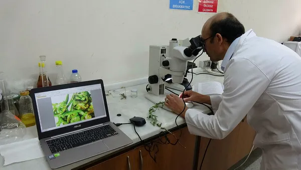 Prof. Dr. Selami Selvi'den koronavirüs uyarısı: Tıbbi bitkilerin hatalı kullanımı durumunda... - 1