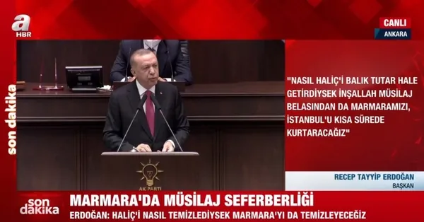 Başkan Erdoğan’dan Marmara’da müsilaj seferberliği mesajı! Haliç’i temizlediğimiz gibi Marmara’yı da kurtaracağız