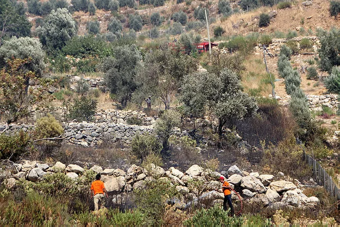 Serik’te orman yangını: 5 hektar alan kül oldu