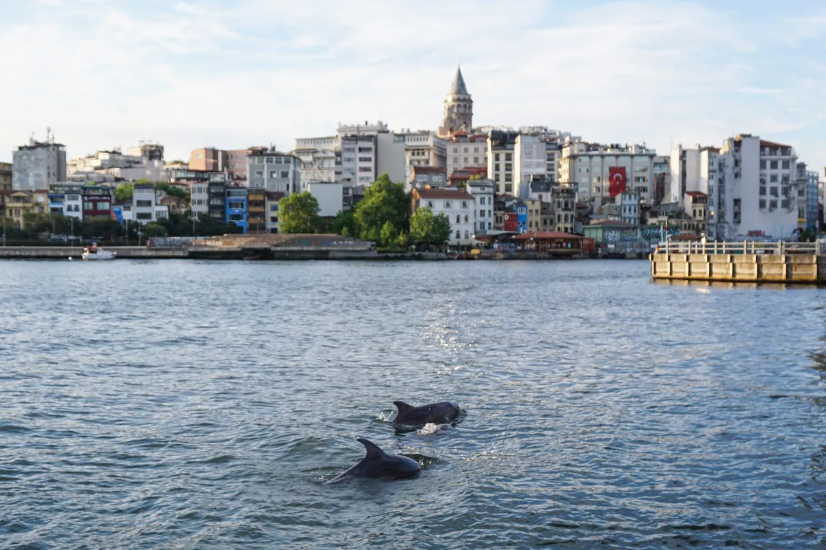 istanbul-hava-kirliligi-haziranda-yuzde-6-azaldi-1785328489499.jpg Uzmana göre yağışlı ve rüzgarlı hava koşulları, İstanbul’daki kirleticilerin atmosferden uzaklaşmasına katkı sağladı.