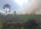Akhisar’da orman yangını!