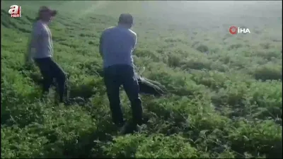 Adıyaman’da balık oltasına takılan...