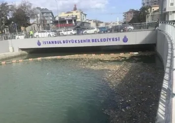 CHP'li Ekrem İmamoğlu "Kurbağalıdere'yi temizledik" diyerek reklam yapmıştı! Kurbağalıdere pislik içinde kaldı