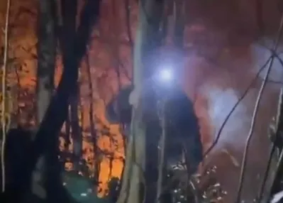 Ordu’da ormanlık alanda yangın!