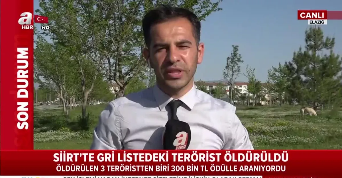 Gri listedeki terörist öldürüldü!