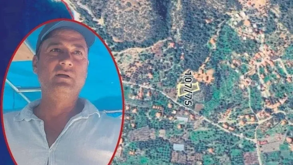 Muğla'da uyanık muhtardan hazine arazisi vurgunu! Parsel parsel satmış