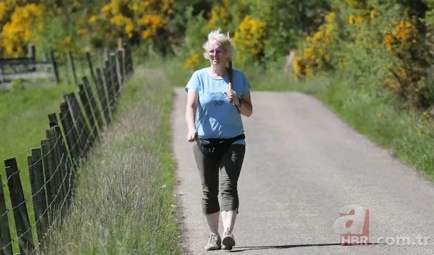 Eve giren firari vahşi hindi ortalığı birbirine kattı! ABD polisinden "özel hindi operasyonu" 19