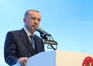 Başkan Erdoğandan çiftçiye peş peşe müjde