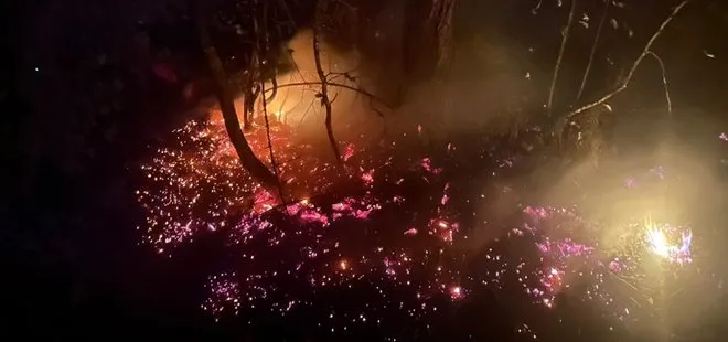 Karabük’te korkutan orman yangını! Vali Yavuz duyurdu: 7 saat sonra kontrol altına alındı