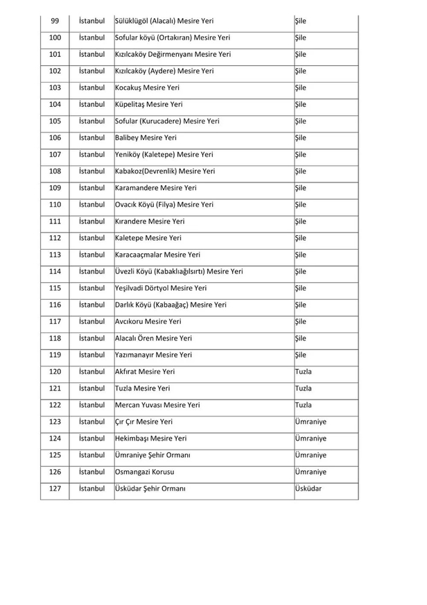 İstanbul’da ormanlara giriş yasak mı? Giriş yasağı olan ormanlar hangileri? İşte mangal yasağı olan ilçeler...