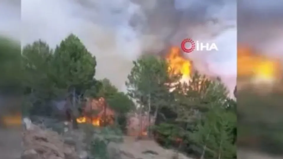 Çorum’da orman yangını