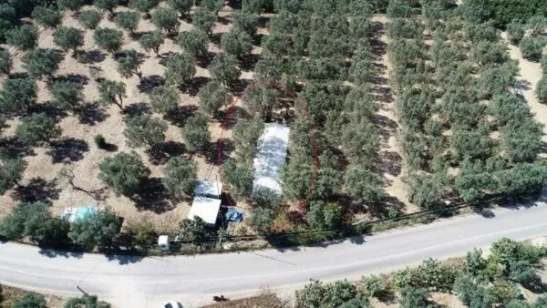 İznik'te heyecan yaratan keşif! Zarar görmesin diye hemen üzeri kapatıldı - 1