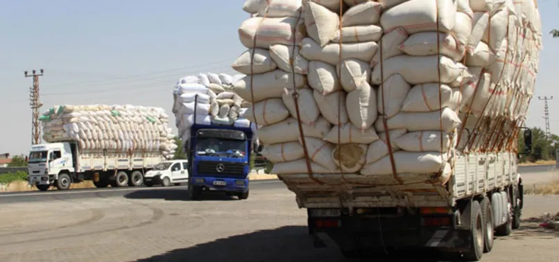 Saman fiyatları arpa ve buğdaya yaklaştı