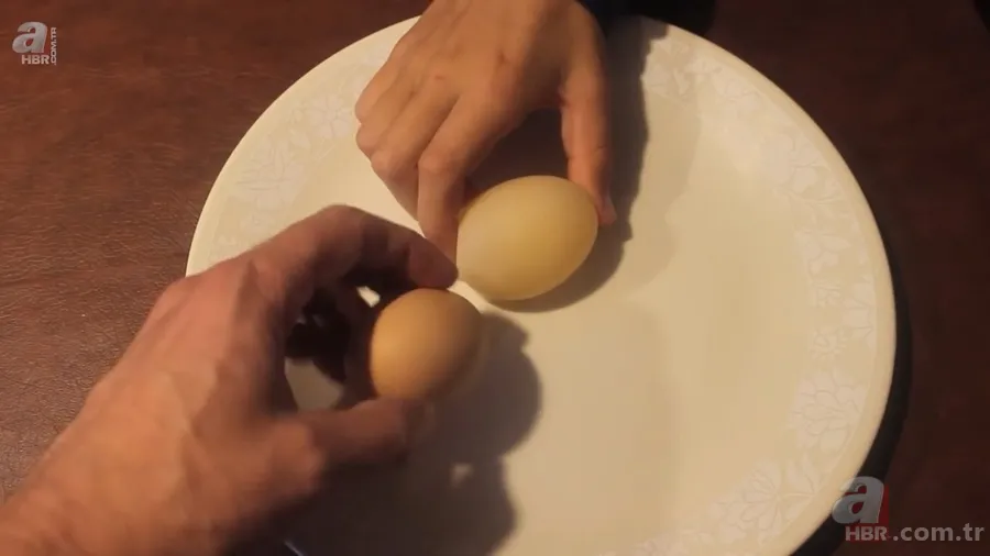 Beslediği tavuğun yumurtasını almak için kümese girdi! Yumurtayı eline alınca gözlerine inanamadı 17