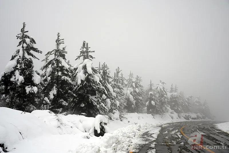 El yüz çatlatan soğuklar kapıda! Meteoroloji uyardı: İstanbul dahil o illerde 2 gün sürecek 4