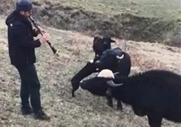 Mandalarının süt verimliliğini bakın nasıl artırdı!