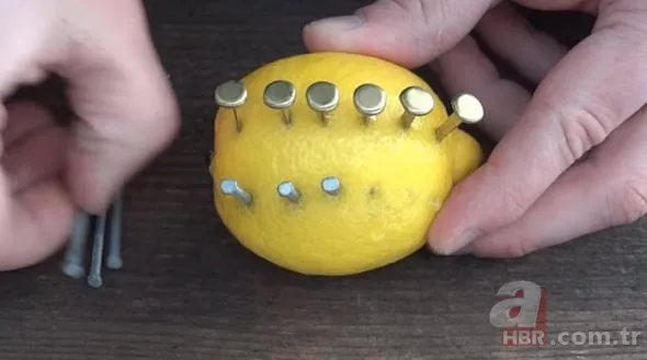 Sosyal medyayı sallayan köpek balığı deneyi yürekleri ağızlara getirdi! Okyanusa kan döküp bekledi ve... 20