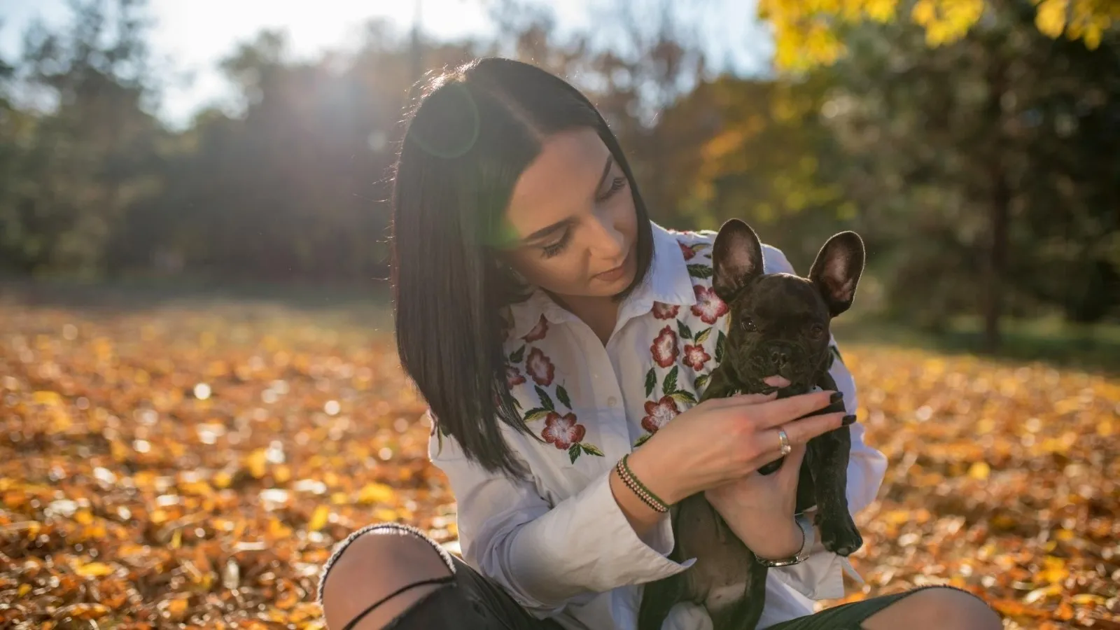 Köpeğinizin yıldız işaretinin kodunu çözün!