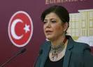 HDPli Beştaş bebek katillerini bu sözlerle savundu!