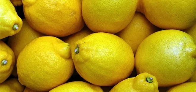 Limon ihracatında ön izin şartı kaldırıldı
