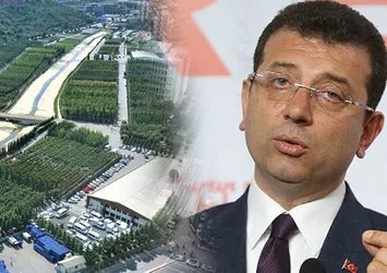 Ağaç A.Ş. üzerinden kirli rüşvet ağı ifşa oldu! 13 firma tek tek itiraf etti: Seçimlere destek için para istenmiş