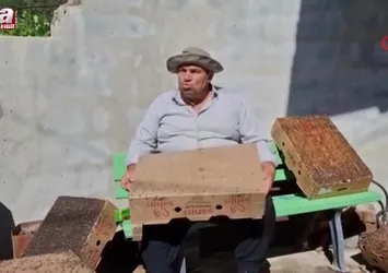 Bu da Adana usulü "sinekle mücadele"