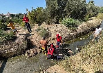 Sulama kanalına düşen ineği itfaiye ekipleri kurtardı