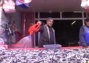 Bolu'da hamsinin kilosu 150 liraya düştü