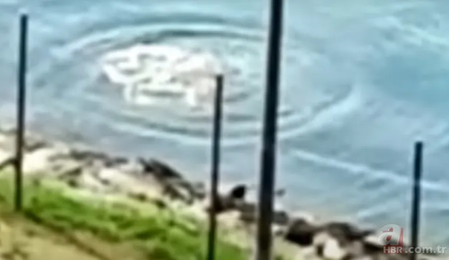 Gören şoke oldu! O ilimizde görüntülendi 16