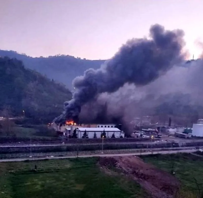 Trabzon Da Balik Fabrikasinda Yangin