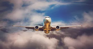 Pilot bayıldı! Uçağı yolcu indirdi