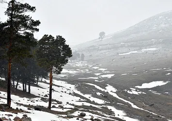 Kars'ta kar yağışı