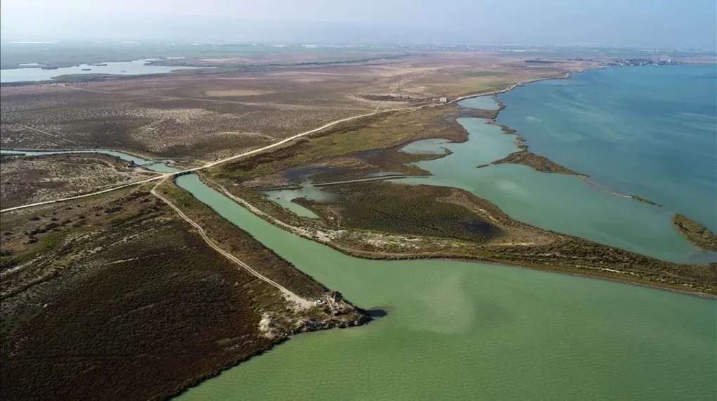 Türkiye'nin kuş cenneti: Göksu Deltası