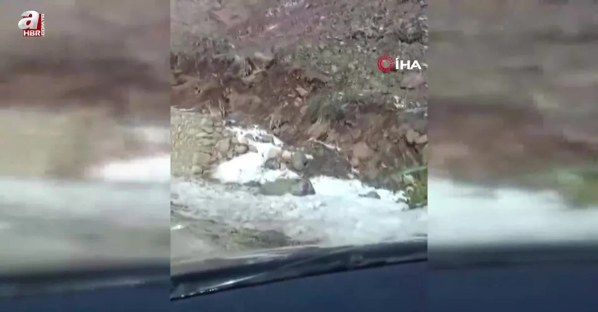 Dağların süsü! Sürü halinde Bayburt’ta görüldü