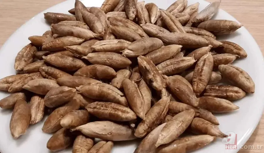 Hurma Çekirdeklerinin Faydaları Sizi Şaşırtacak! Atmadan Önce Okuyun 2