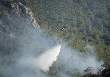 Alevlerle mücadele! Orman yangınlarında son durum ne?