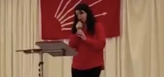 Almanya’da CHP’lilerden İYİ Parti lideri Meral Akşener’e tepki: Kod adı Asena! Solcu gençlerin kanı elinde