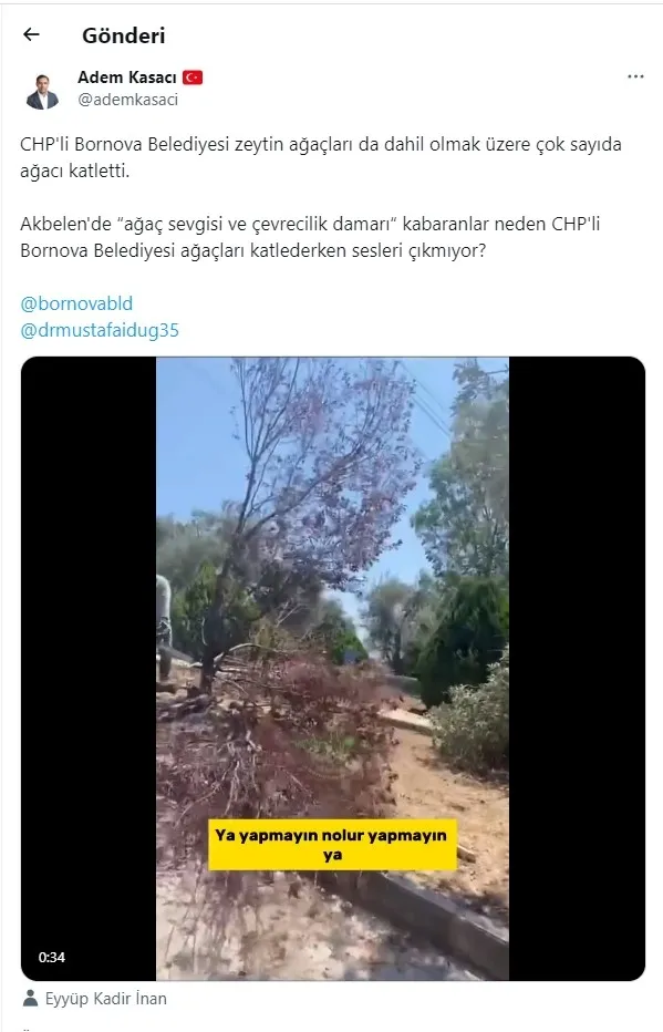 CHP'li Bornova Belediyesi'nden ağaç katliamı! Hani çevreciler neredesiniz? Bölge halkı isyanda: Allah sizi kahretsin - 4
