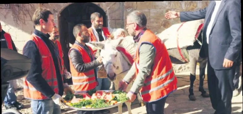 Emektar eşeklere emeklilik töreni