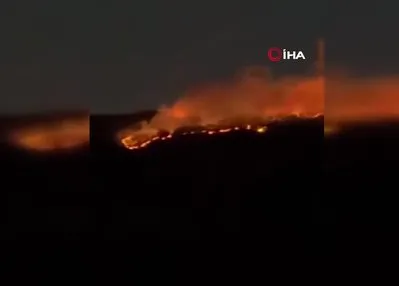 Çankırı’da orman yangını