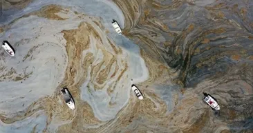 Deniz mahsulleri severlere flaş açıklama: Onu yapmayın!