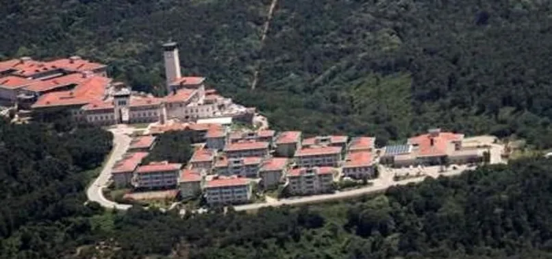 Sozde Agac Koruyucusu Koc Universitesi Nin Agac Katliami