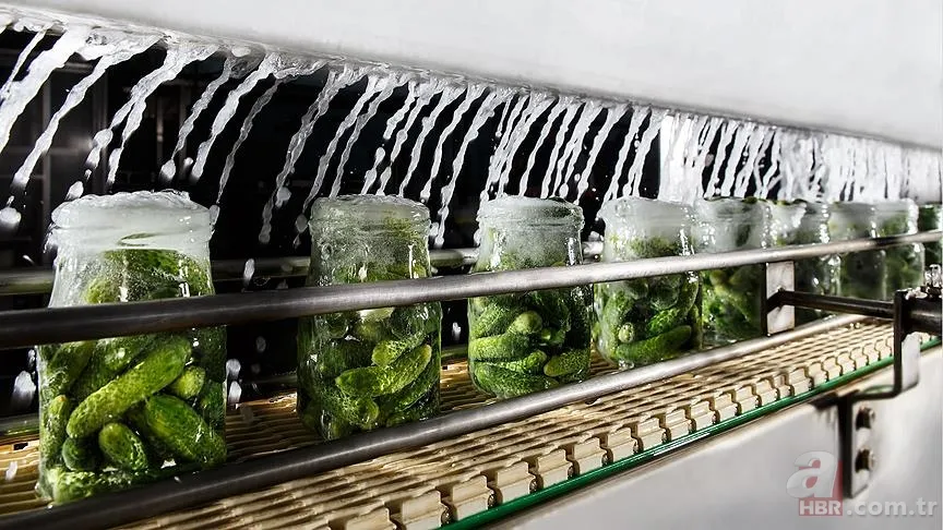 Bu besinler ömürden ömür çalıyor! Ölümcül dörtlü... 7