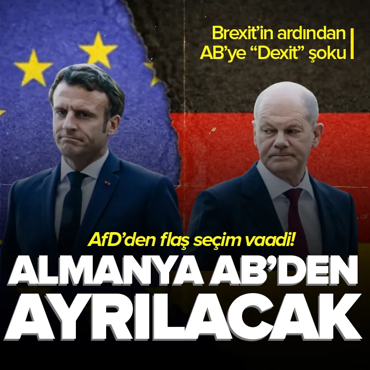 Almanyada Avrupa Birliğinden çıkma vaadi!